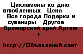 Цикламены ко дню влюбленных › Цена ­ 180 - Все города Подарки и сувениры » Другое   . Приморский край,Артем г.